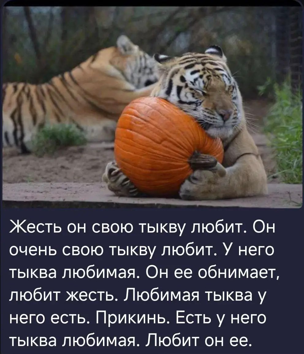 Жесть он свою тыкву любит. Он очень свою тыкву любит. У него тыква любимая. Он ее обнимает, любит жесть. Любимая тыква у него есть. Прикинь. Есть у него тыква любимая. Любит он ее.