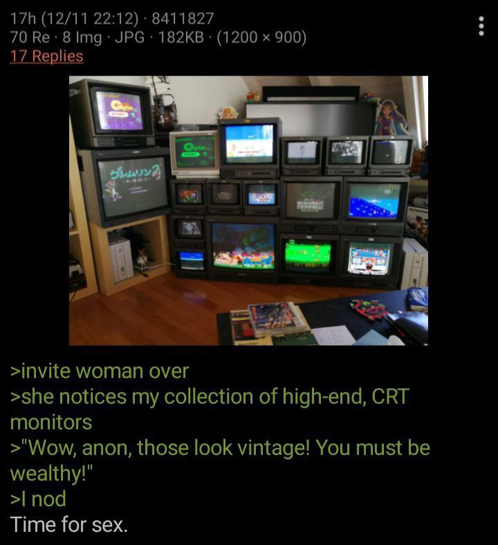 (12/11 22:12) 8411827 70 8 Img JPG (1200 900) 17 Replies >invite woman over >she notices my collection of high-end, CRT monitors >"Wow, anon, those look vintage! You must be wealthy!" nod Time for sex