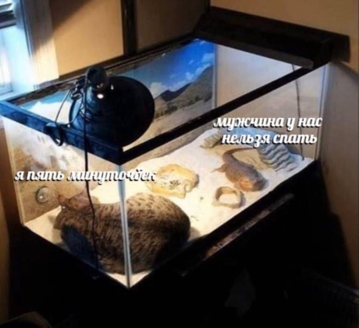 a у нас Я нельзя спать япять