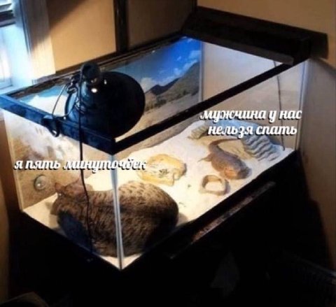 a у нас Я нельзя спать япять