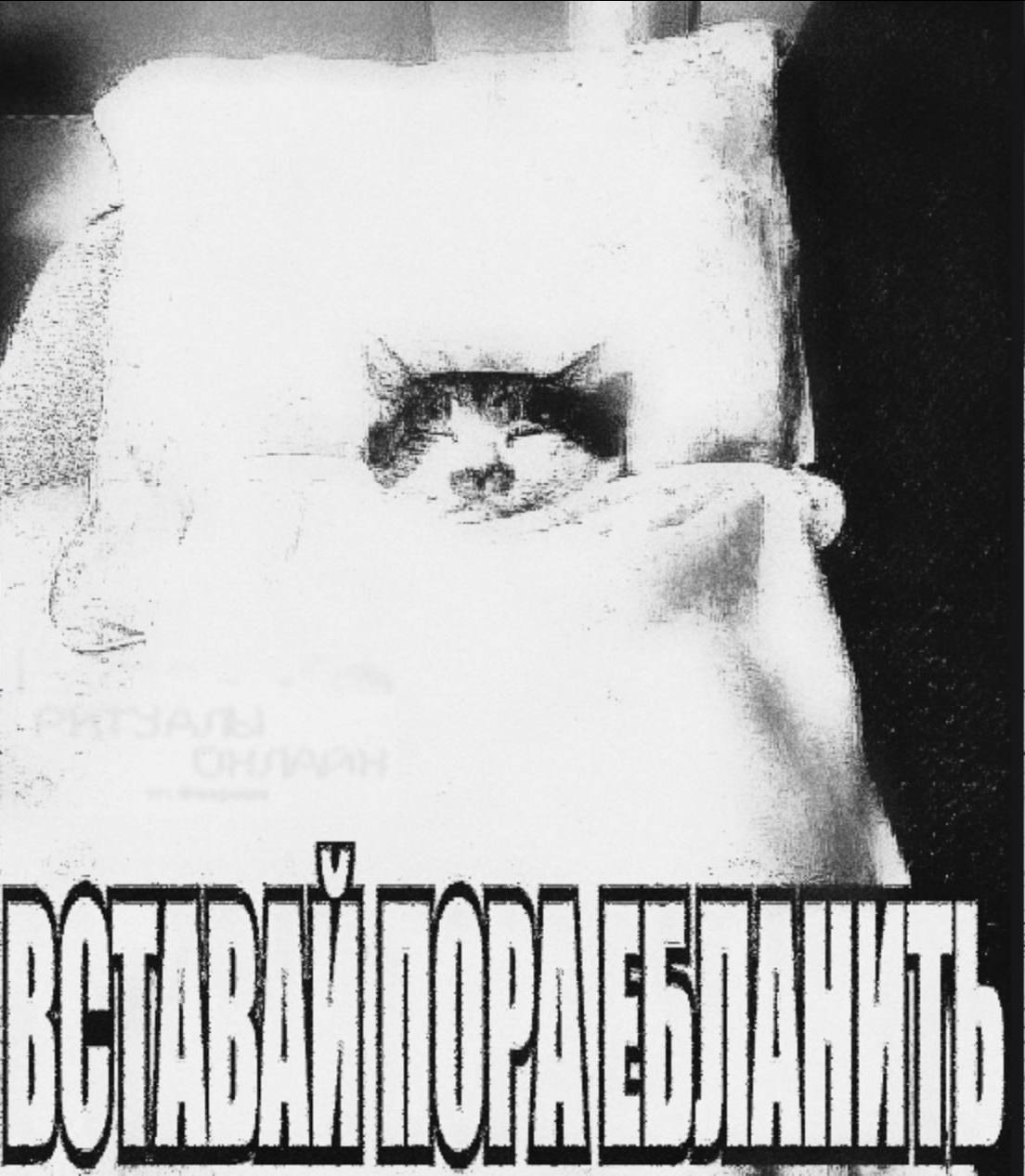 2 4 у