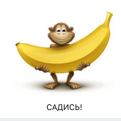 САДИСЬ!