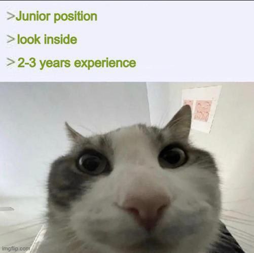 >Junior position look inside 2-3 years experience
