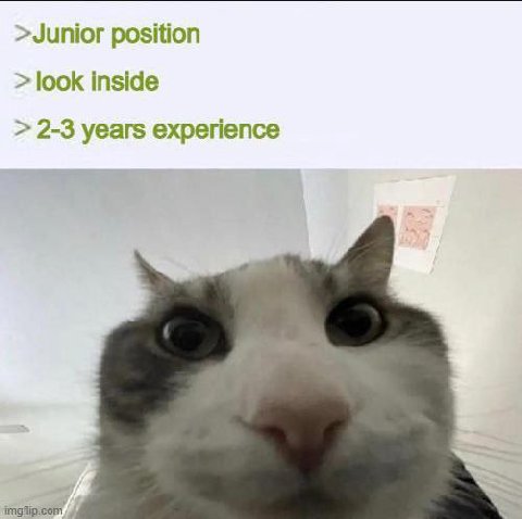 >Junior position look inside 2-3 years experience