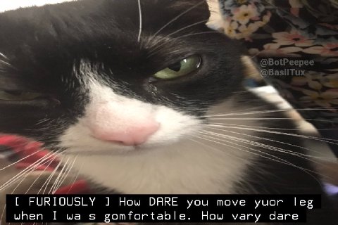 3 с FURIOUSLY How DARE you move yuor leg when I gomfortable. How vary dare