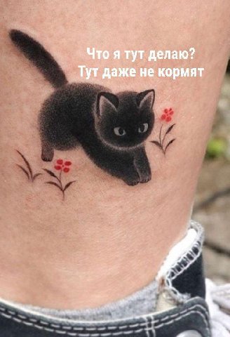 Чтоя тут делаю? Тут даже не кормят