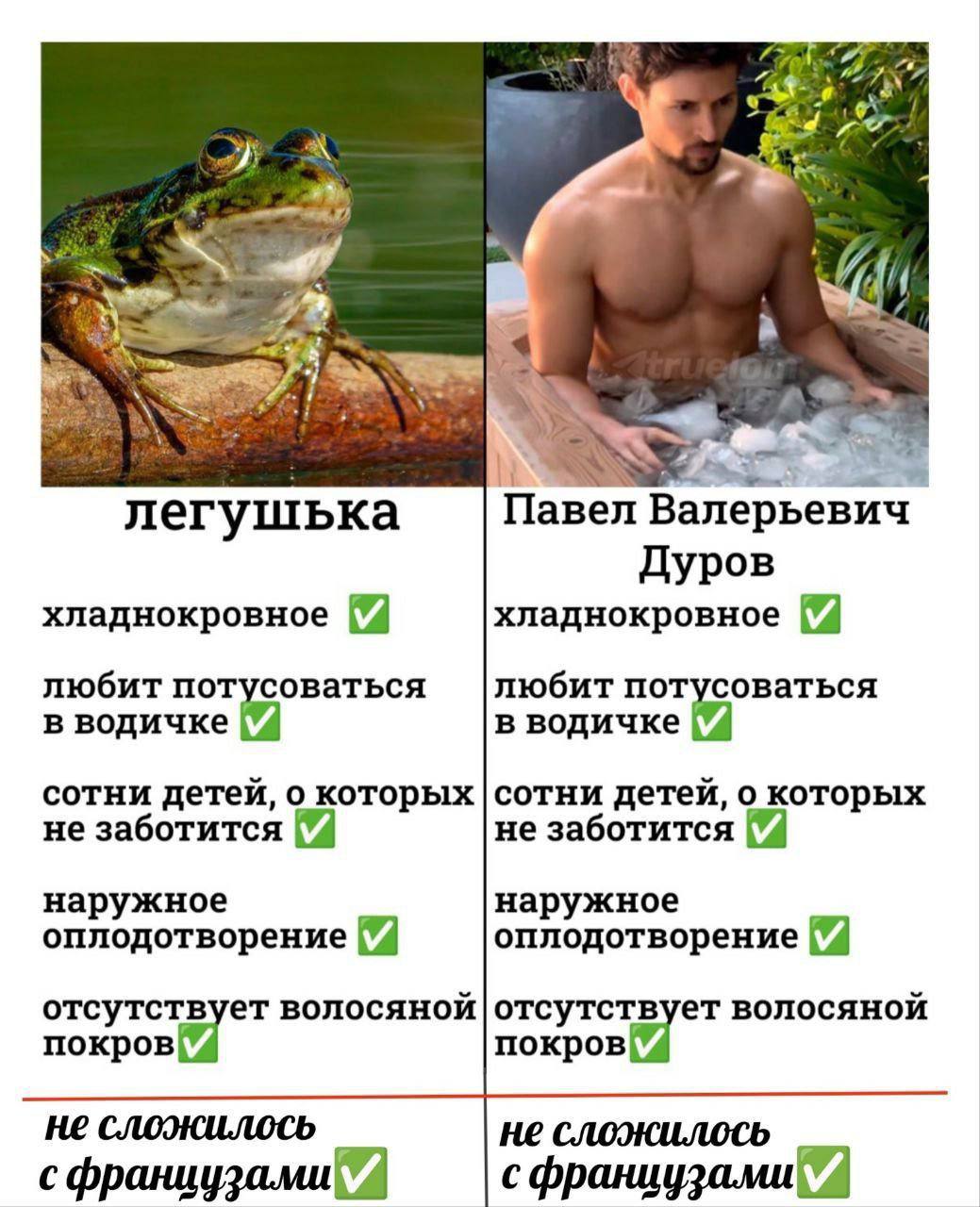 5) легушька Павел лерье вич Дуров хладнокровное хладнокровное любит пот любит пот в водичке аться в водичке a сотни детей, о которых сотни детей, о которых не заботится не заботится наружное наружное 