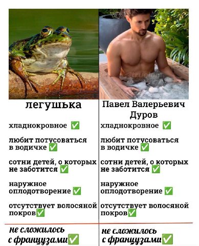 5) легушька Павел лерье вич Дуров хладнокровное хладнокровное любит пот любит пот в водичке аться в водичке a сотни детей, о которых сотни детей, о которых не заботится не заботится наружное наружное 