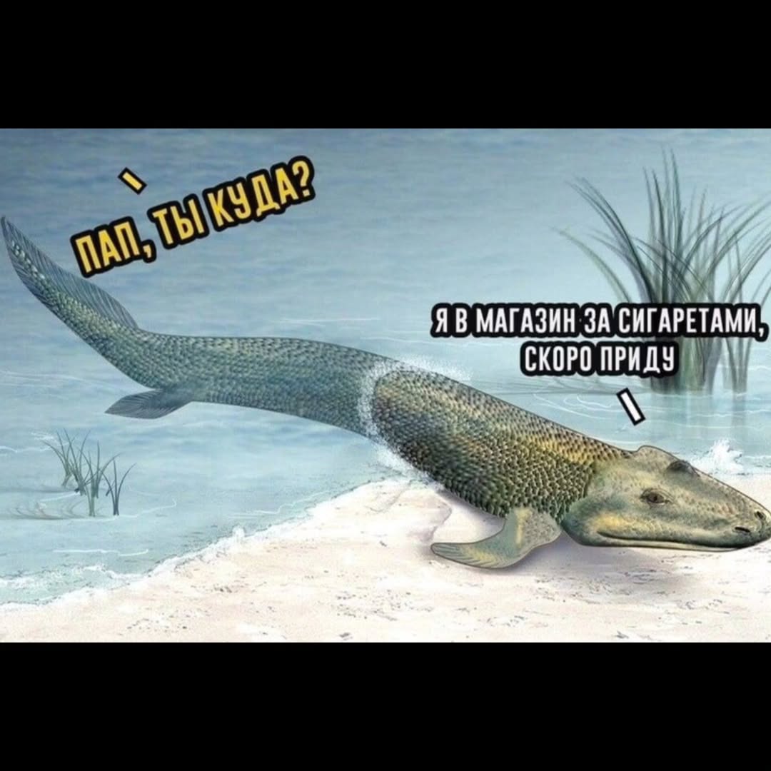 ЗА СИГАРЕТАМ СКОРО ПРИДУ
