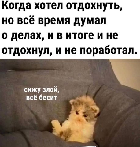 Когда хотел отдохнуть, но всё время думал о делах, и в итоге и не отдохнул, и не поработал. сижу злой, всё бесит