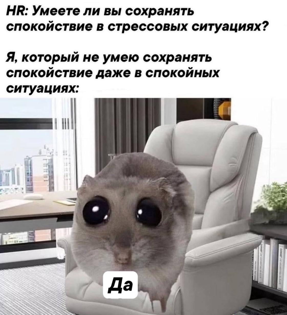 Умеете ли вы сохранять спокойствие в стрессовых ситуациях? Я, который не умею сохранять спокойствие даже в спокойных ситуациях: