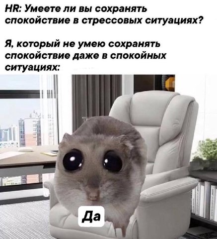 Умеете ли вы сохранять спокойствие в стрессовых ситуациях? Я, который не умею сохранять спокойствие даже в спокойных ситуациях: