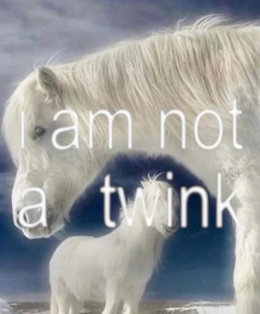 1 not