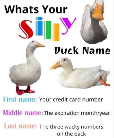 Whats Your i Duck Name First mame: Your credit card number Viddle expiration month/year The three wacky numbers on the back