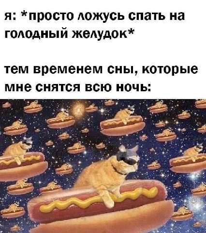 я: *просто ложусь спать на голодный желудок* тем временем сны, которые мне снятся всю ночь: