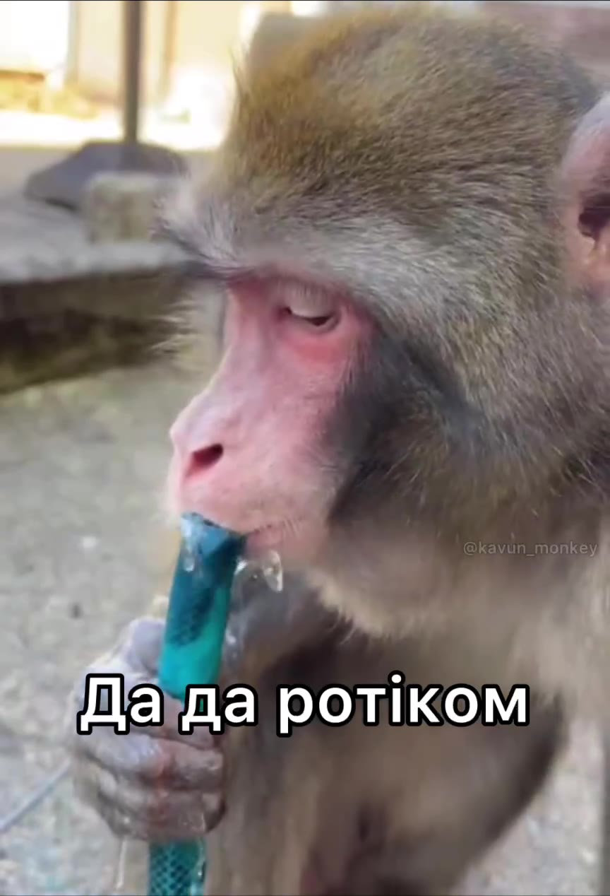 Дагда ротиком