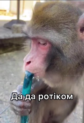 Дагда ротиком