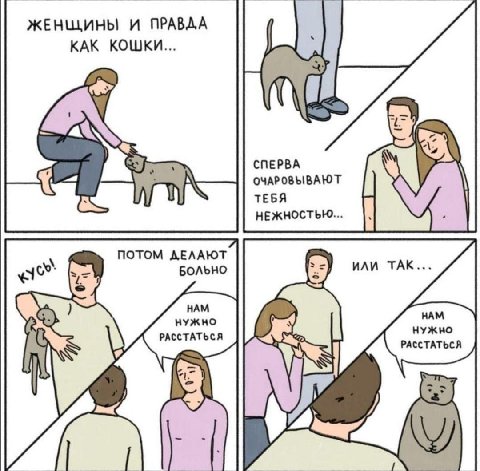 ЖЕНЩИНЫ И ПРАВДА КАК КОШКИ... СПЕРВА ОЧАРОВЫВАЮТ ТЕБЯ НЕЖНОСТЬЮ... ПОТОМ ДЕЛАЮТ БОЛЬНО НАМ НАМ РАССТАТЬСЯ НУЖНО НУЖНО РАССТАТЬСЯ 4