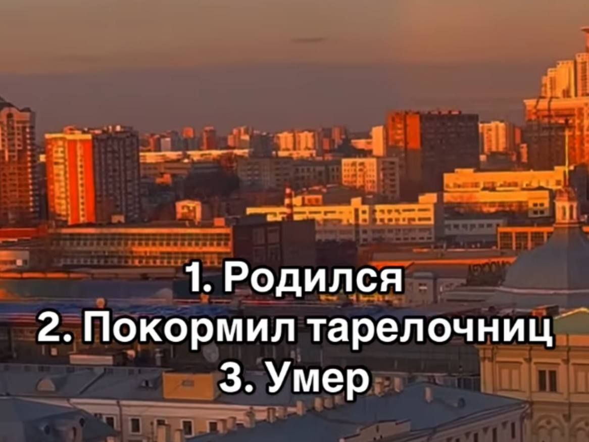 1. Родился 2. Покормил тарелочниц 3. Умер