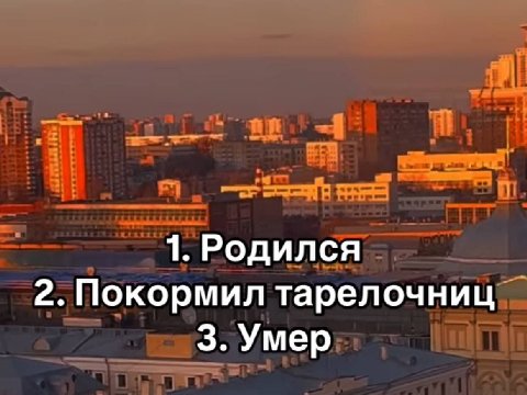 1. Родился 2. Покормил тарелочниц 3. Умер