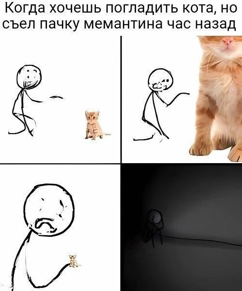Когда хочешь погладить кота, но съел пачку мемантина час назад