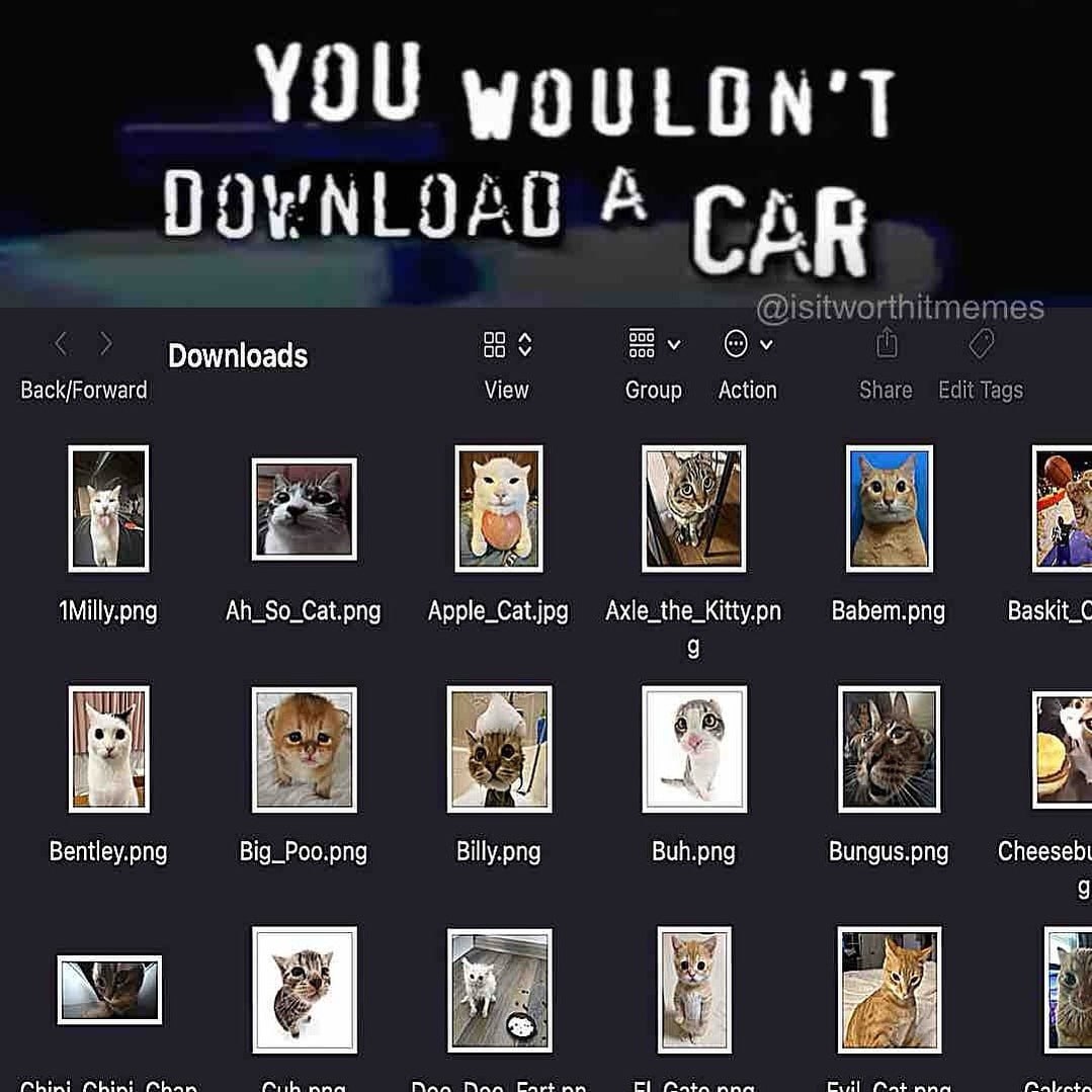 YOU A О 9 у. А. С Downloads 83 Back/Forward View Group Action i В 4 Ah_So_Cat.png Apple_Cat.jpg Axle_the_Kitty.on Babem.png Baskit_C Bentley.png Big_Poo.png Billy.png Buh.png Bungus.png Cheesebt 7 as 