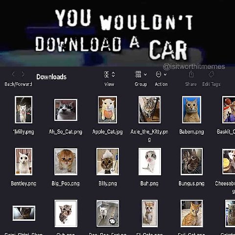 YOU A О 9 у. А. С Downloads 83 Back/Forward View Group Action i В 4 Ah_So_Cat.png Apple_Cat.jpg Axle_the_Kitty.on Babem.png Baskit_C Bentley.png Big_Poo.png Billy.png Buh.png Bungus.png Cheesebt 7 as 