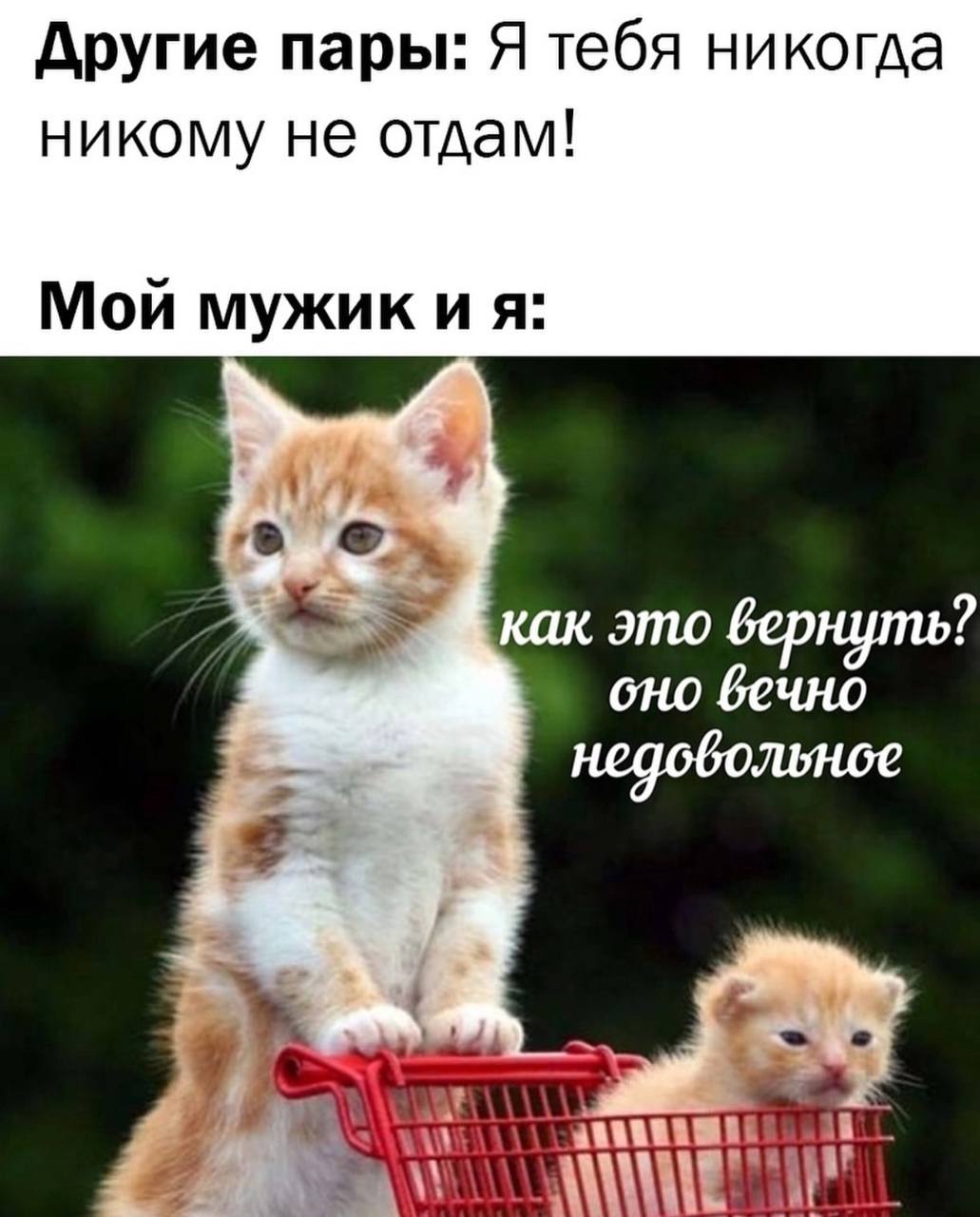 Другие пары: Я тебя никогда никому не отдам! Мои мужик как это вернуть? бечно недовольное