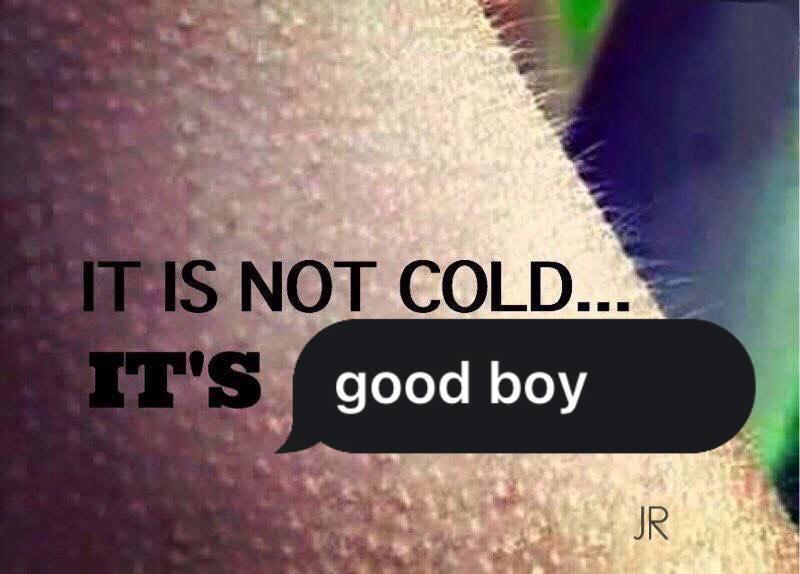NOT COLD... good boy