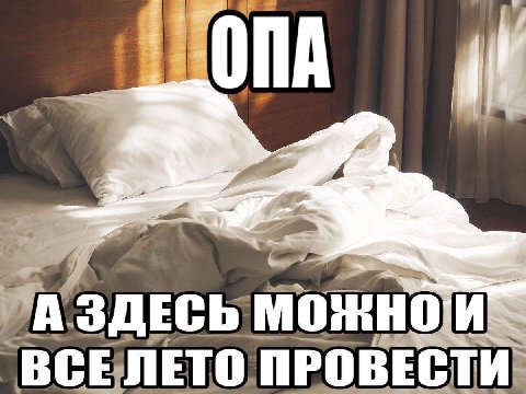 ВСЕЛЕТО ПРОВЕСТИ.
