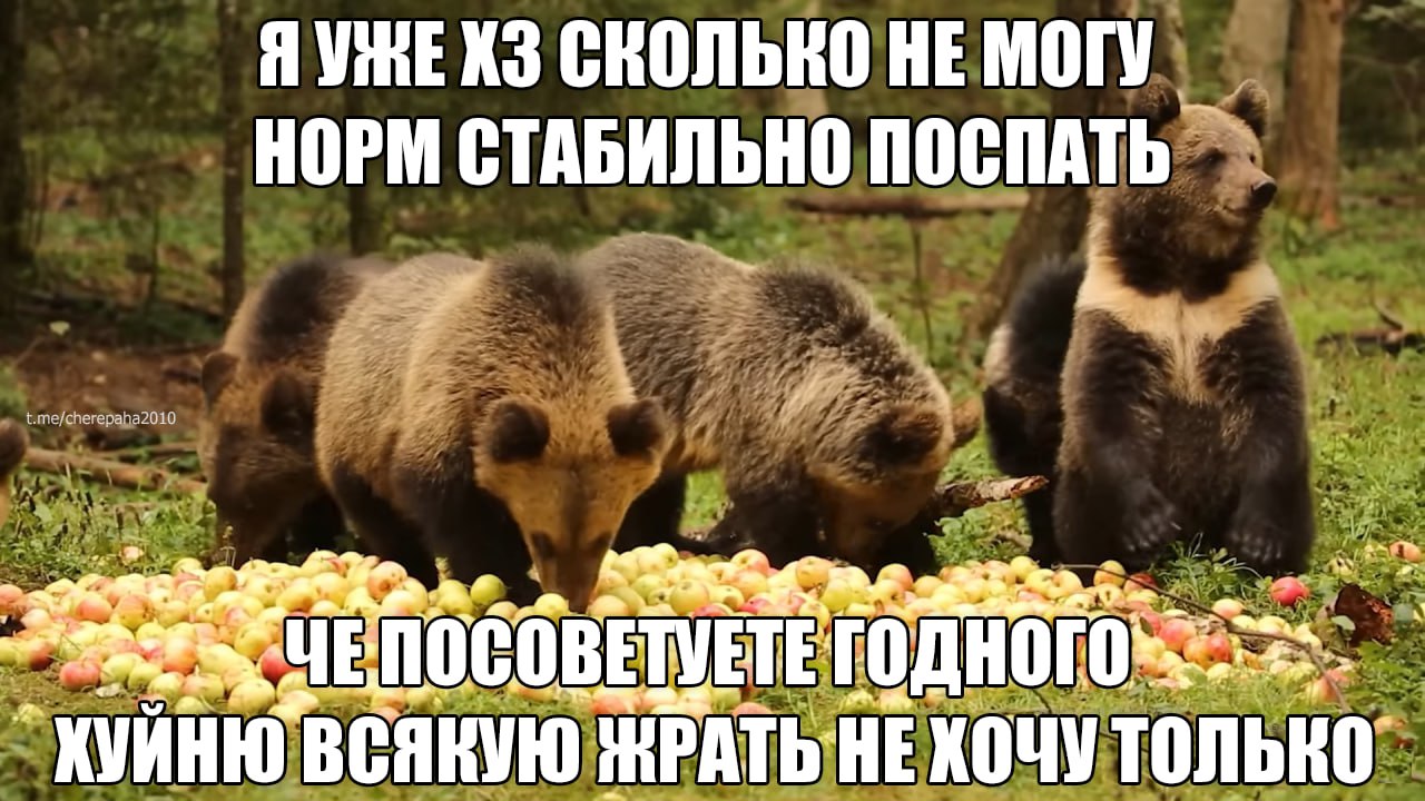 СКОЛЬКО НЕ МОГУ НОРМ СТАБИЛЬНО ПОСПАТЬ i pan t.me/cherepaha2010 an lal 4 0 0 В ETE: my КУИНЮ В С Я ВУЮ AT НЕ только