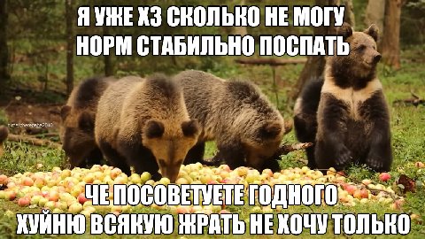 СКОЛЬКО НЕ МОГУ НОРМ СТАБИЛЬНО ПОСПАТЬ i pan t.me/cherepaha2010 an lal 4 0 0 В ETE: my КУИНЮ В С Я ВУЮ AT НЕ только