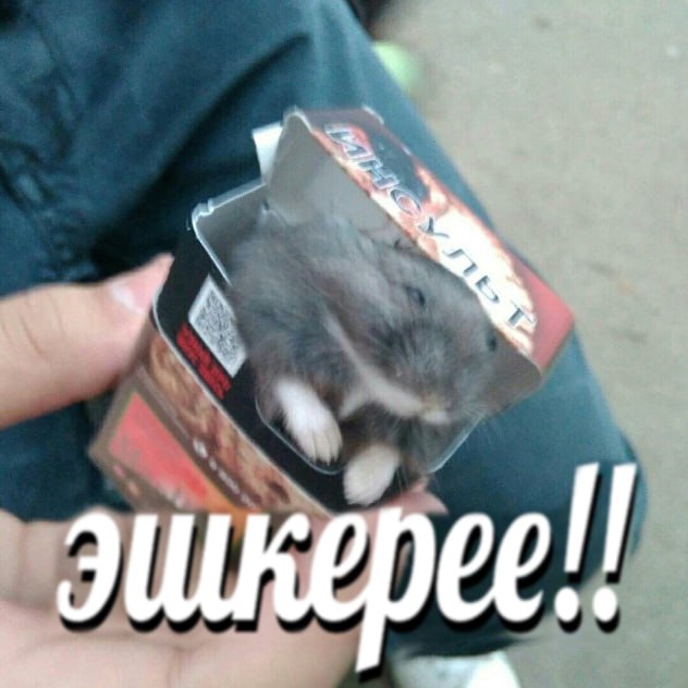 у эшкерее!