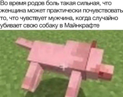 Во время родов боль такая сильная, что женщина может практически почувствовать о, что чувствует мужчина, когда случайно убивает свою собаку в Майнкрафте