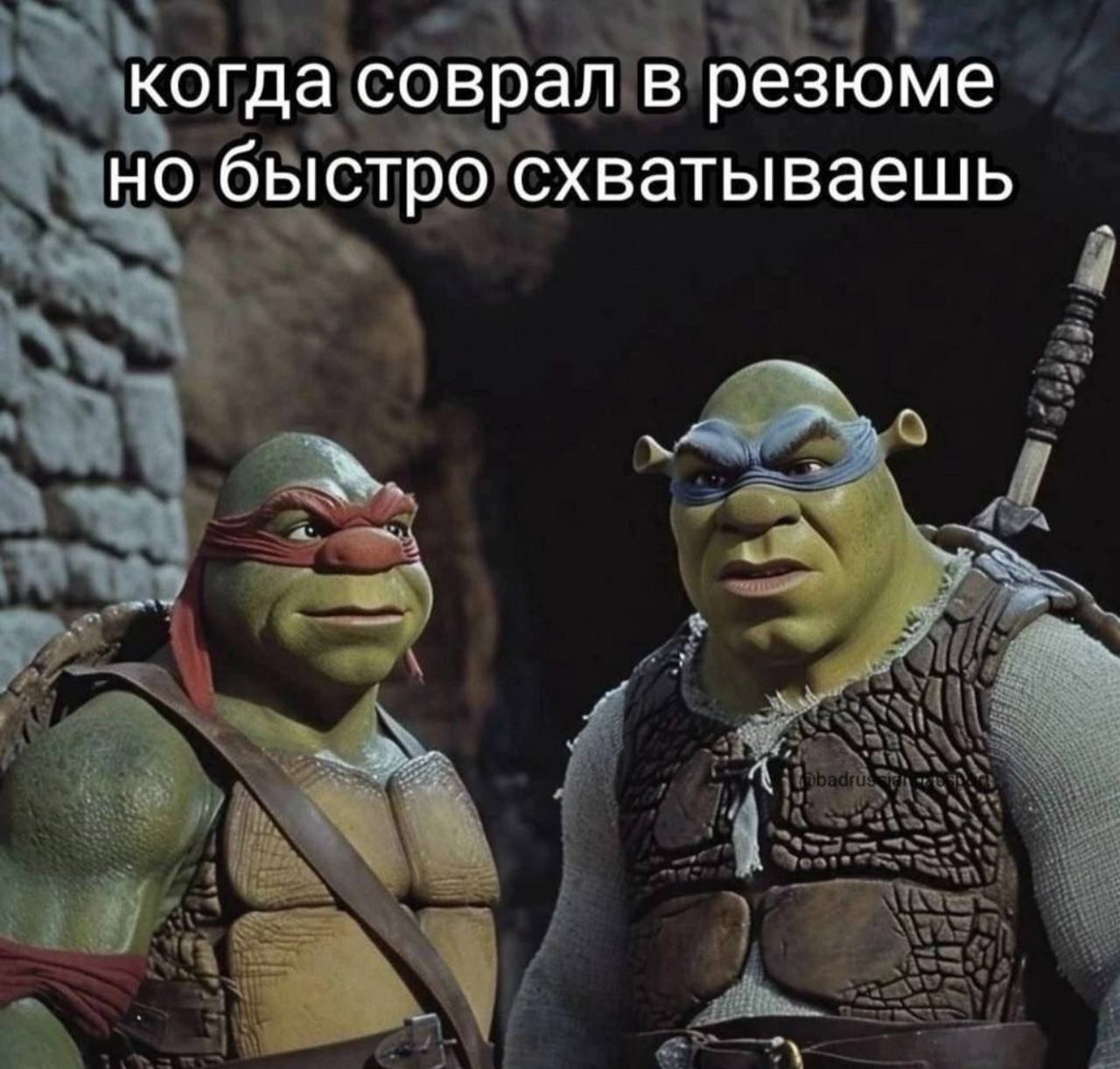 когда соврал в резюме но быстро схватываешь
