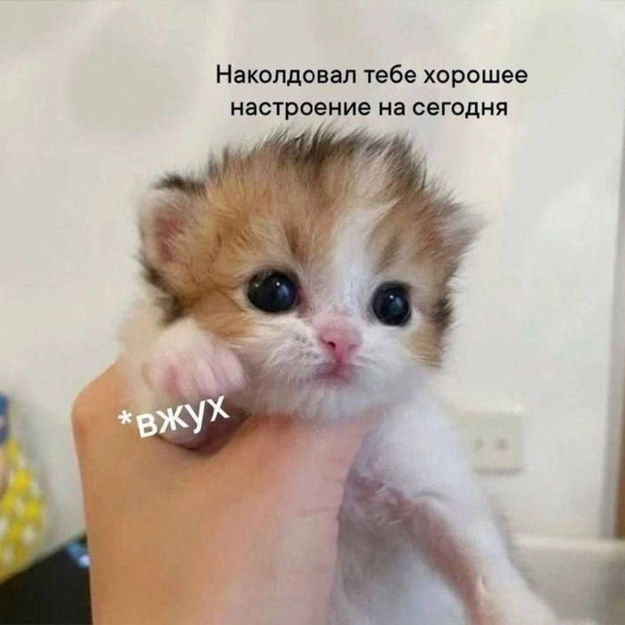 Наколдовал тебе хорошее настроение на сегодня 4 3 к a 7 у у “a