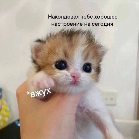 Наколдовал тебе хорошее настроение на сегодня 4 3 к a 7 у у “a