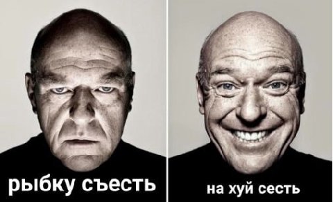рыбку съесть нахуй сесть