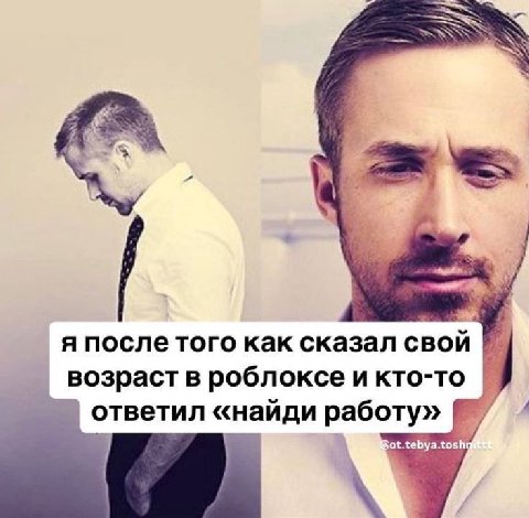 я после того как сказал свои возраст в роблоксе и кто-то ответил «найди работу»