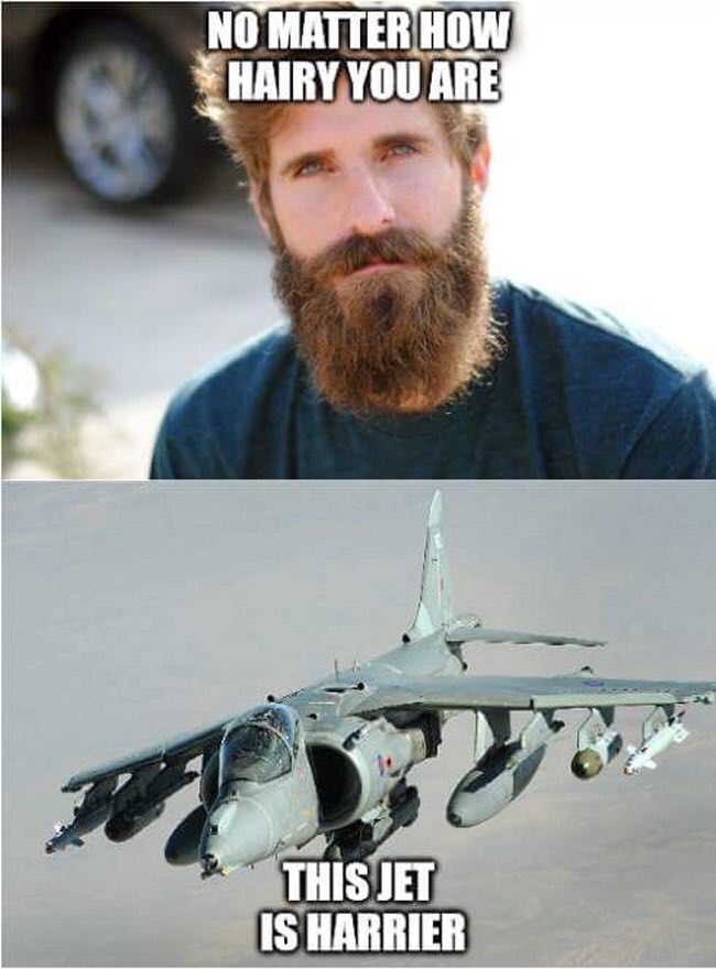 МАТТЕВ НОМ HAIRY YOU ARE 7. IS HARRIER