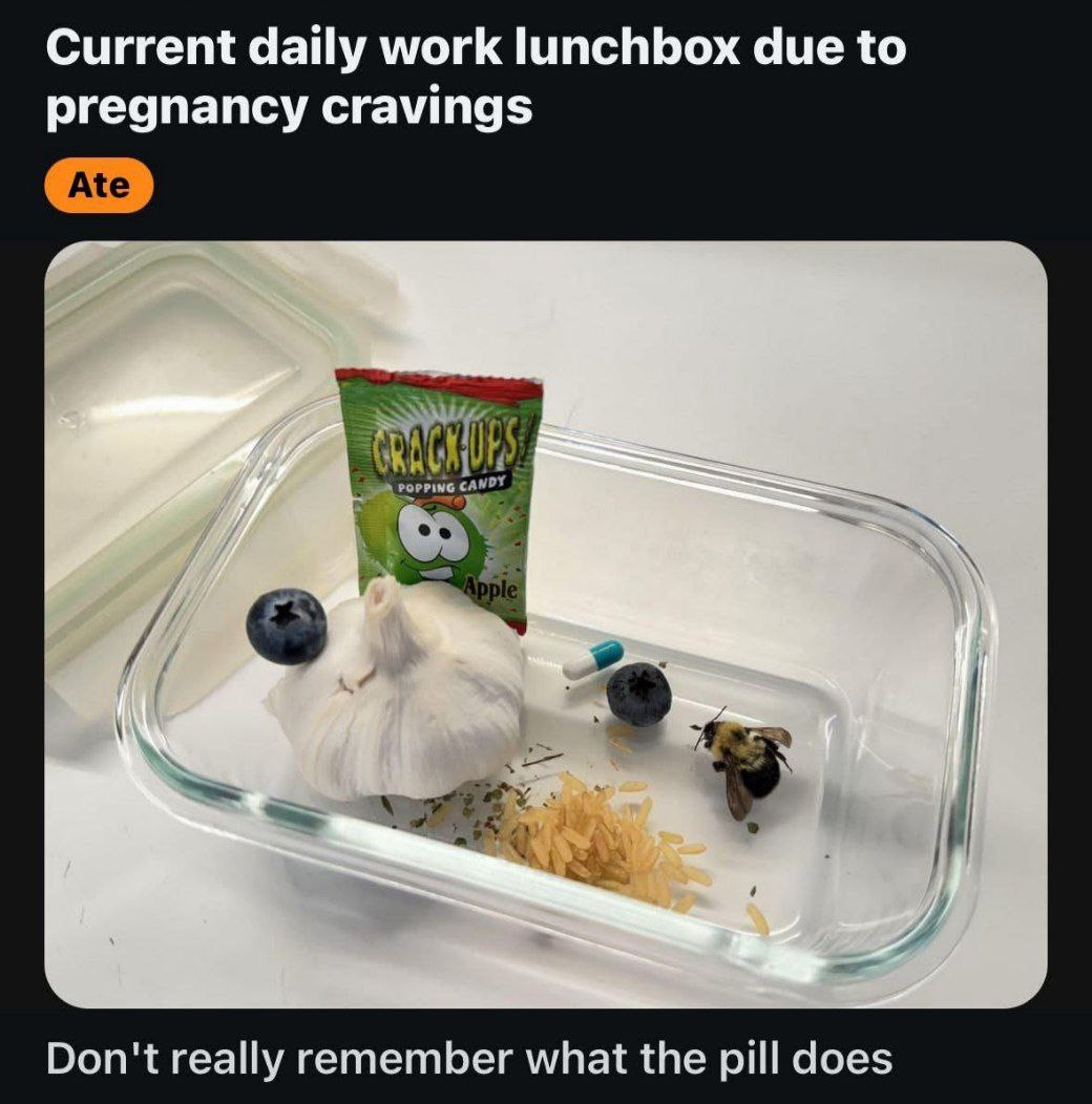 Current daily work lunchbox due to pregnancy cravings Don't really remember what the pill does