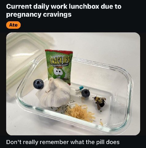 Current daily work lunchbox due to pregnancy cravings Don't really remember what the pill does