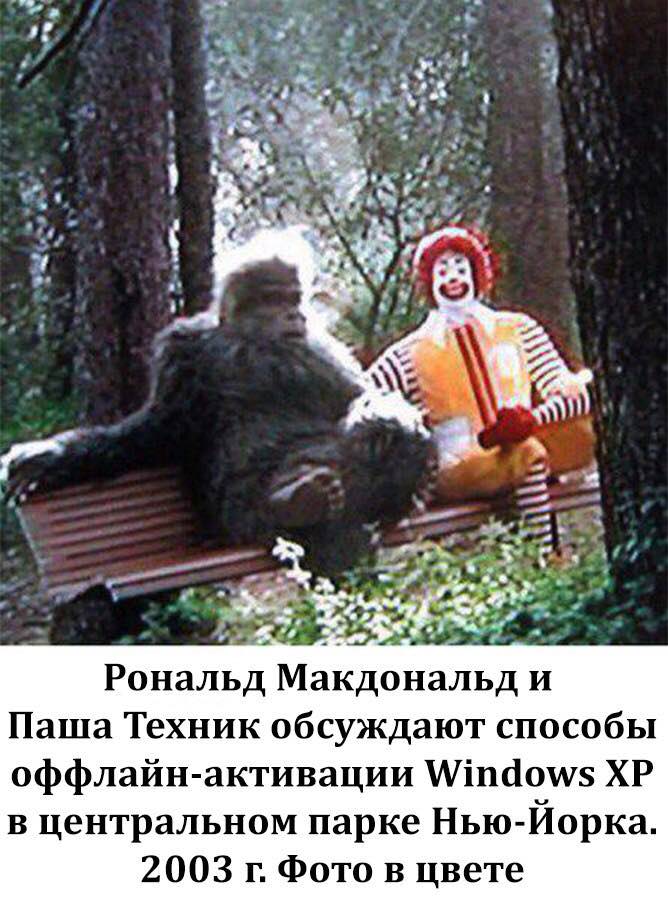 Я a” 4 у on an Рональд Макдональд и Паша Техник обсуждают способы оффлайн-активации Windows в центральном парке Нью-Иорка. 2003 Фото в цвете