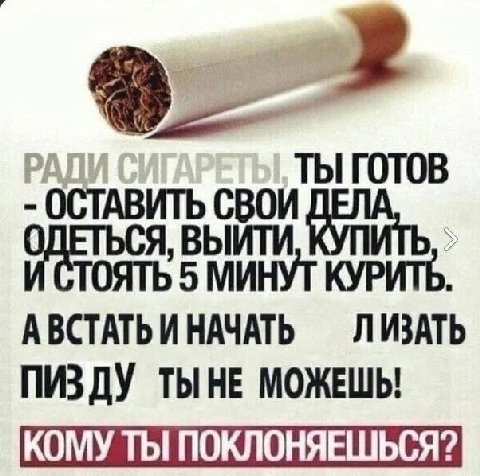 ОСТАВИТЬ СВОИ Я, ВЫ ИТИ ОЯТЬ 5 НУТ КУРИТЬ. АВСТАТЬ И НАЧАТЬ ЛИЗАТЬ ПИЗДУ ТЫНЕ МОЖЕШЬ! КОМУ ТЫ ПОКЛОНЯЕШЬСЯ?