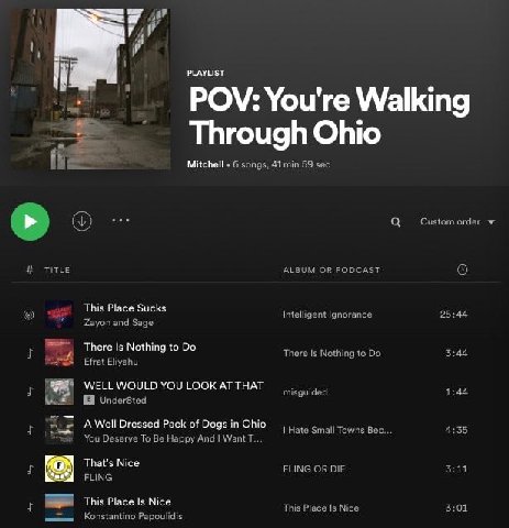 PLAYLIST You're Walki POV: You're Walking Through Ohio Mitchell This Place Sucks There Is Nothing to WELL WOULD YOU LOOK AT THAT A Well Dressed Pack of Dogs in Ohio КОХ That's Nice This Place Is Nice