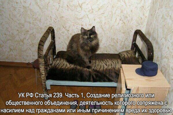 A УКРФ Статья 239. Часть 1, Создание религиозного или общественного объединения, деятельность которого сопряжена с насилием над гражданами или иным причинением вреда здоровью: