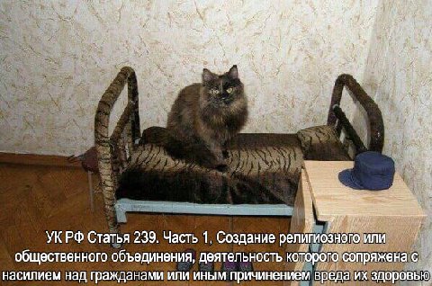 A УКРФ Статья 239. Часть 1, Создание религиозного или общественного объединения, деятельность которого сопряжена с насилием над гражданами или иным причинением вреда здоровью:
