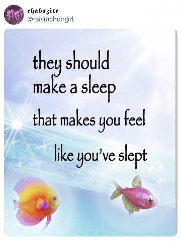 chabazite raisinc hoirgirl they should а slee that makes you fee| like you slept