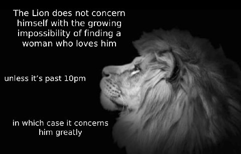 The Lion does not concern himself with the growing impossibility of finding a woman who loves him unless it’s past in which case it concerns him greatly