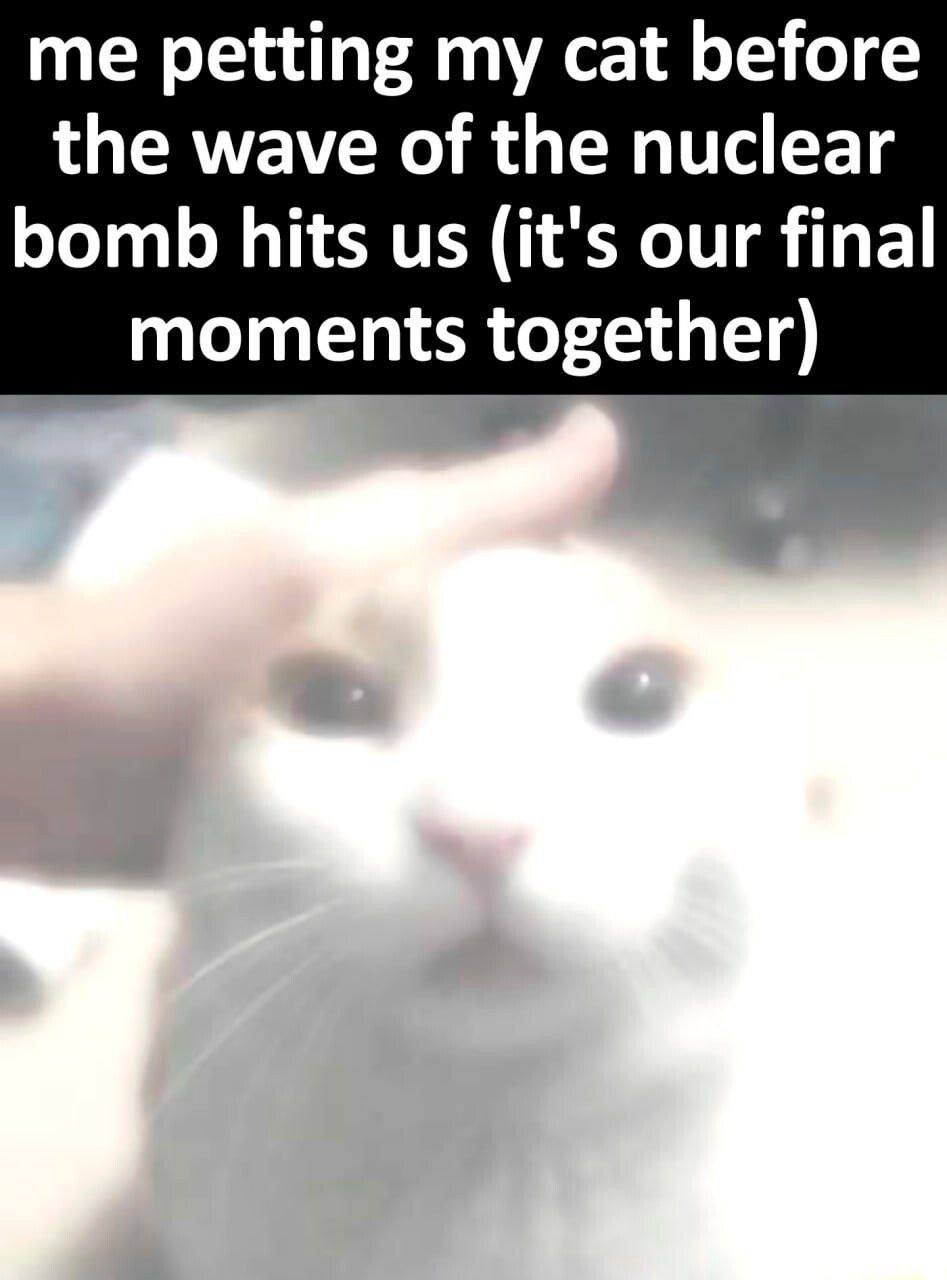 me petting my cat before the wave of the nuclear bomb hits (it's our final moments together)